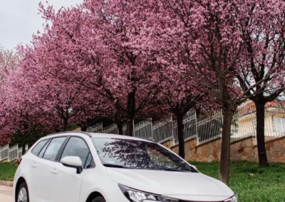 Toyota Corolla személyautó bérlés - BudapestCarRent.hu